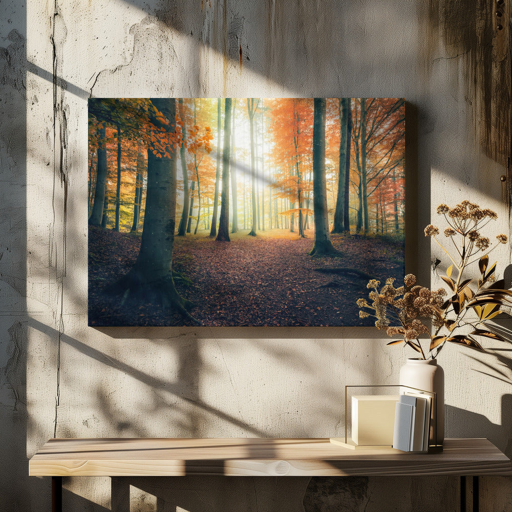 Herfst in het bos | Canvas