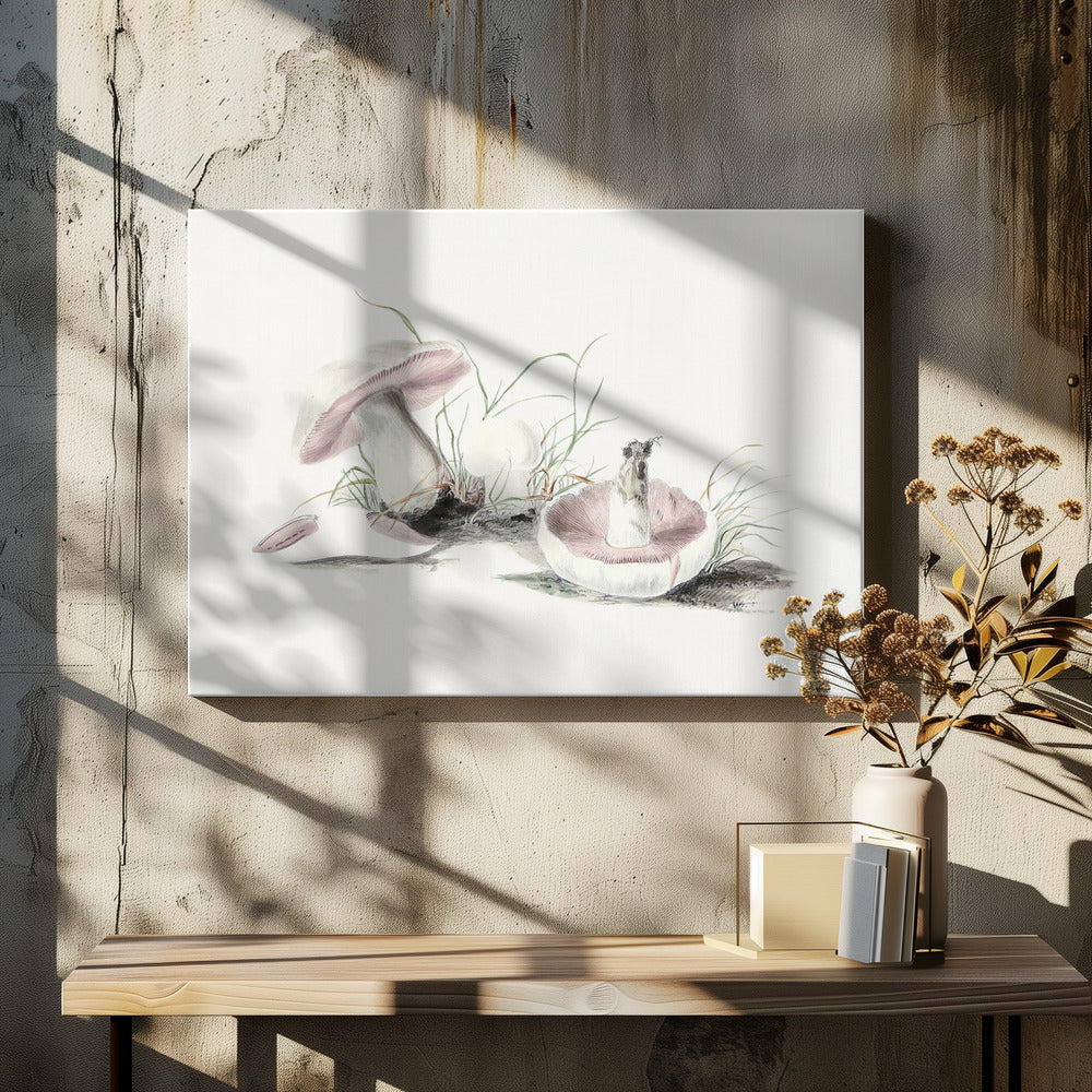 Handgetekende veldpaddestoel | Canvas