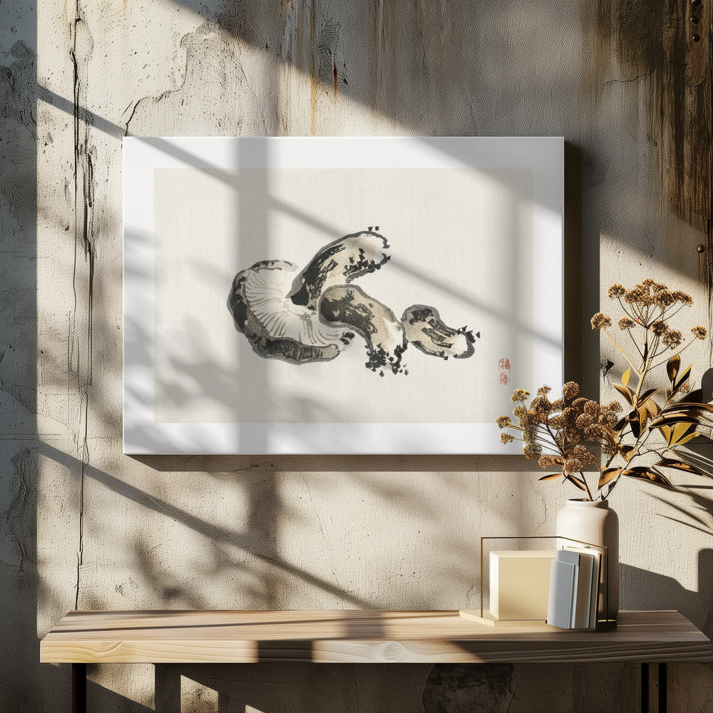 Shiitake-paddenstoel | Canvas