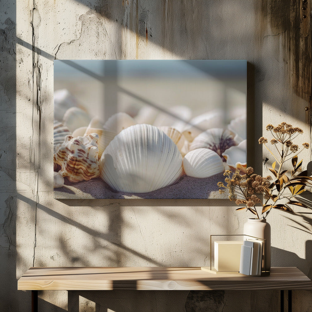 Schelpen aan zee | Canvas