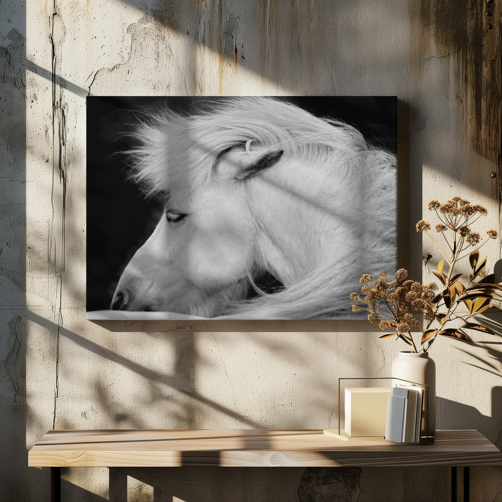 Luister naar de wind | Canvas