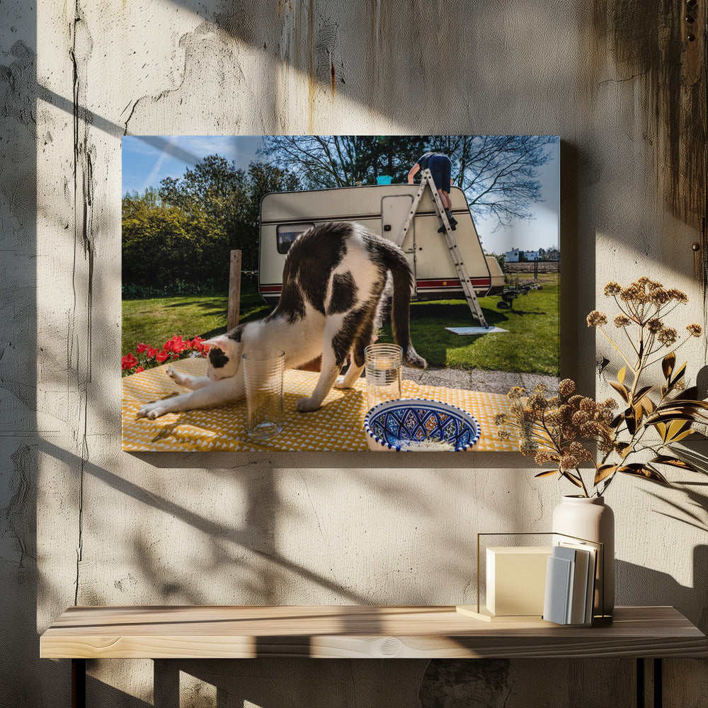 Vergelijkbare poses... | Canvas
