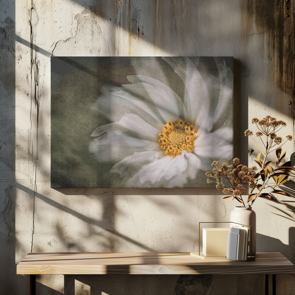 Dansen | Canvas