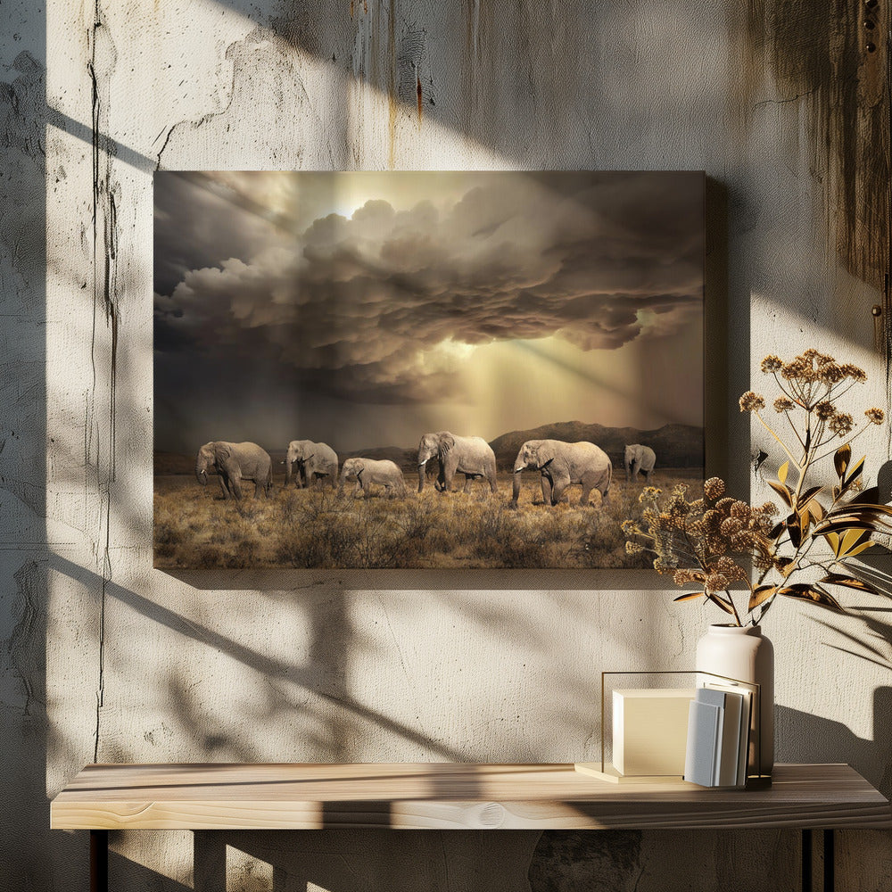 Gratis Olifanten | Canvas