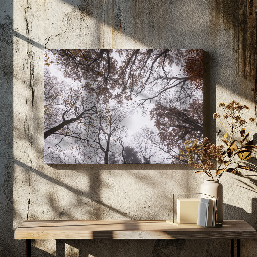 Omhoog kijken 2 | Canvas