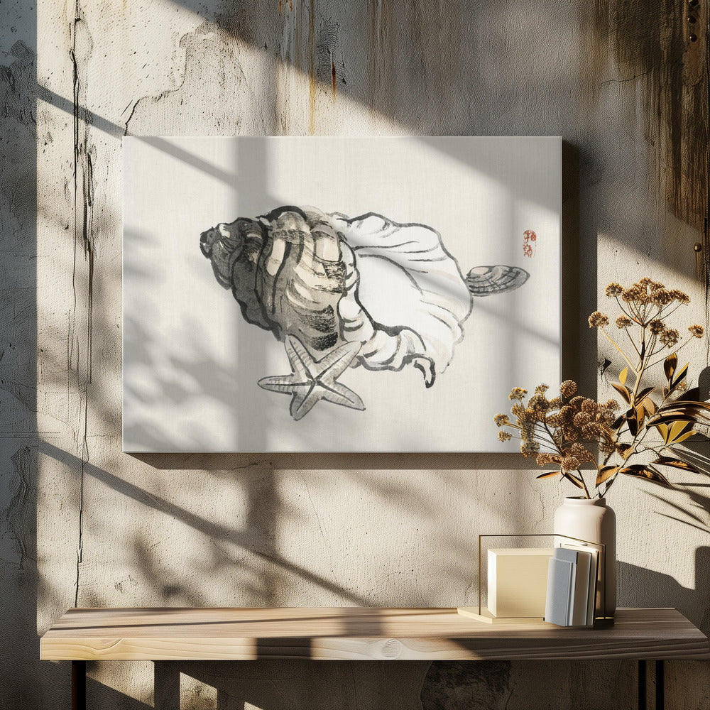 Zeester en schelp | Canvas