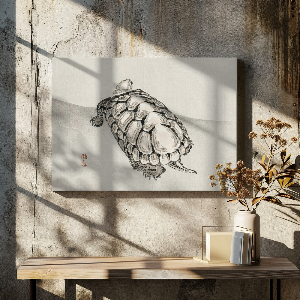 Schildpad | Canvas