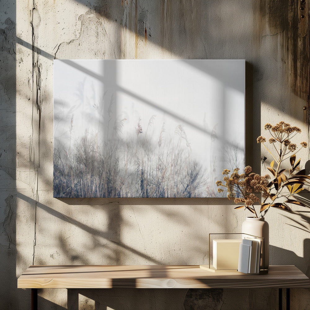 Landschap van riet en gras | Canvas