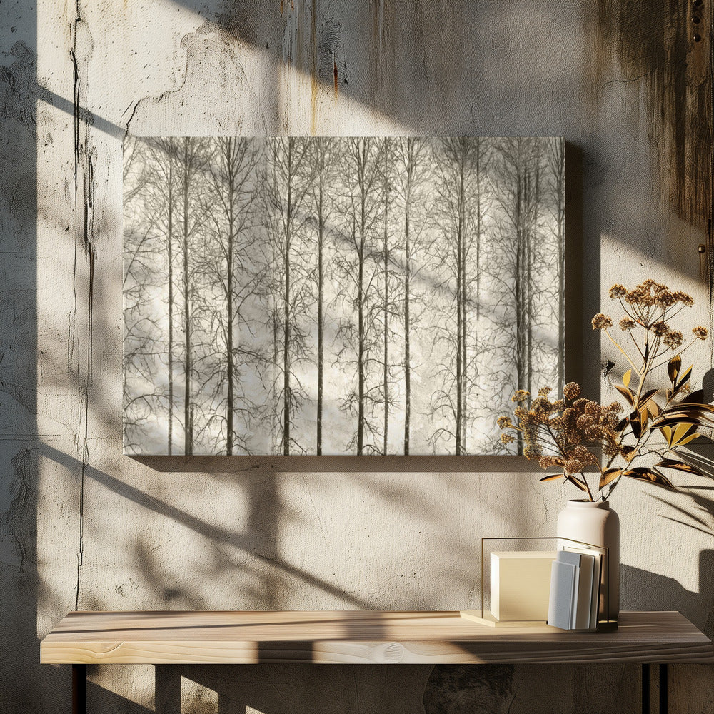 Espen | Canvas