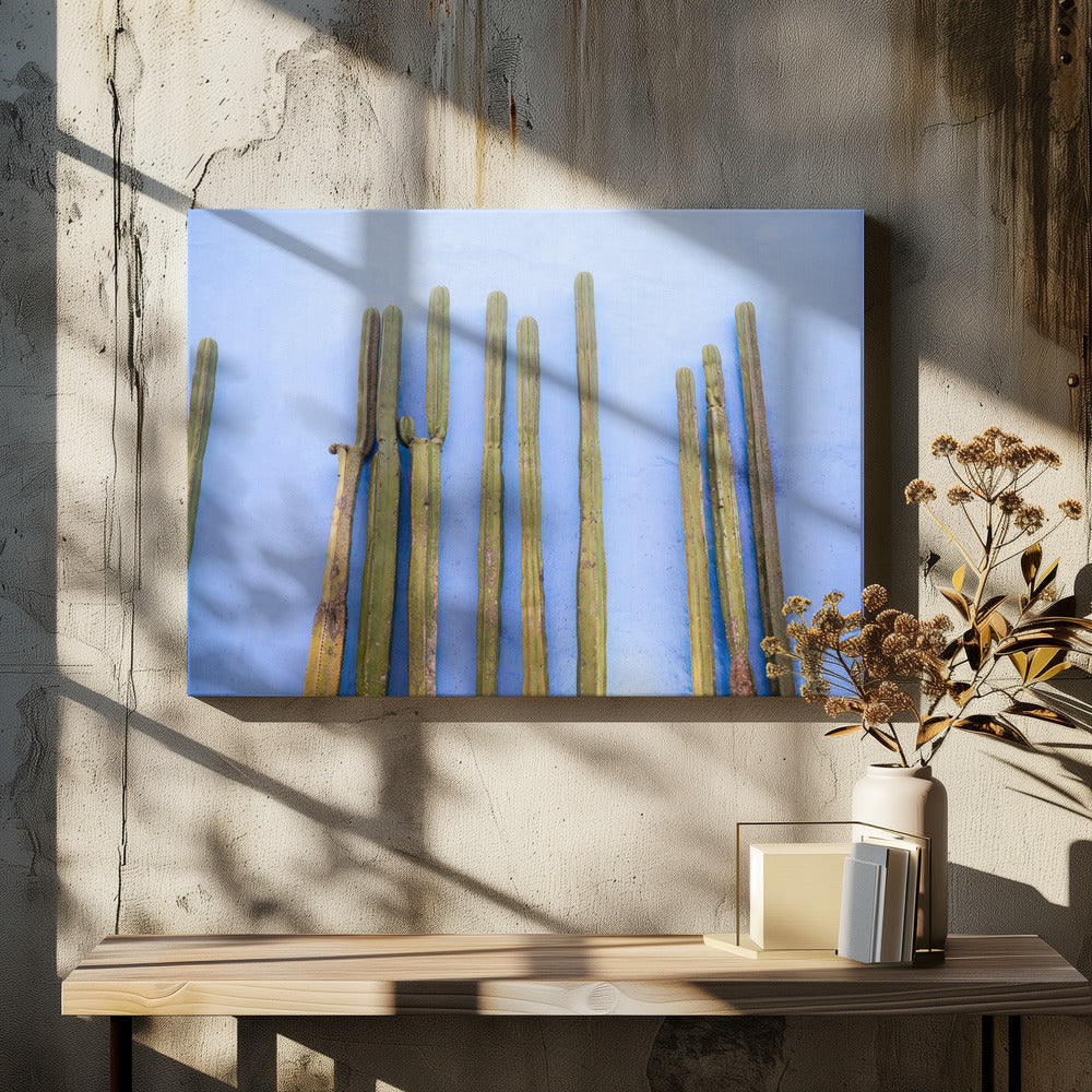 Hoge cactussen op blauw | Reizen in Oaxaca, Mexico | Canvas