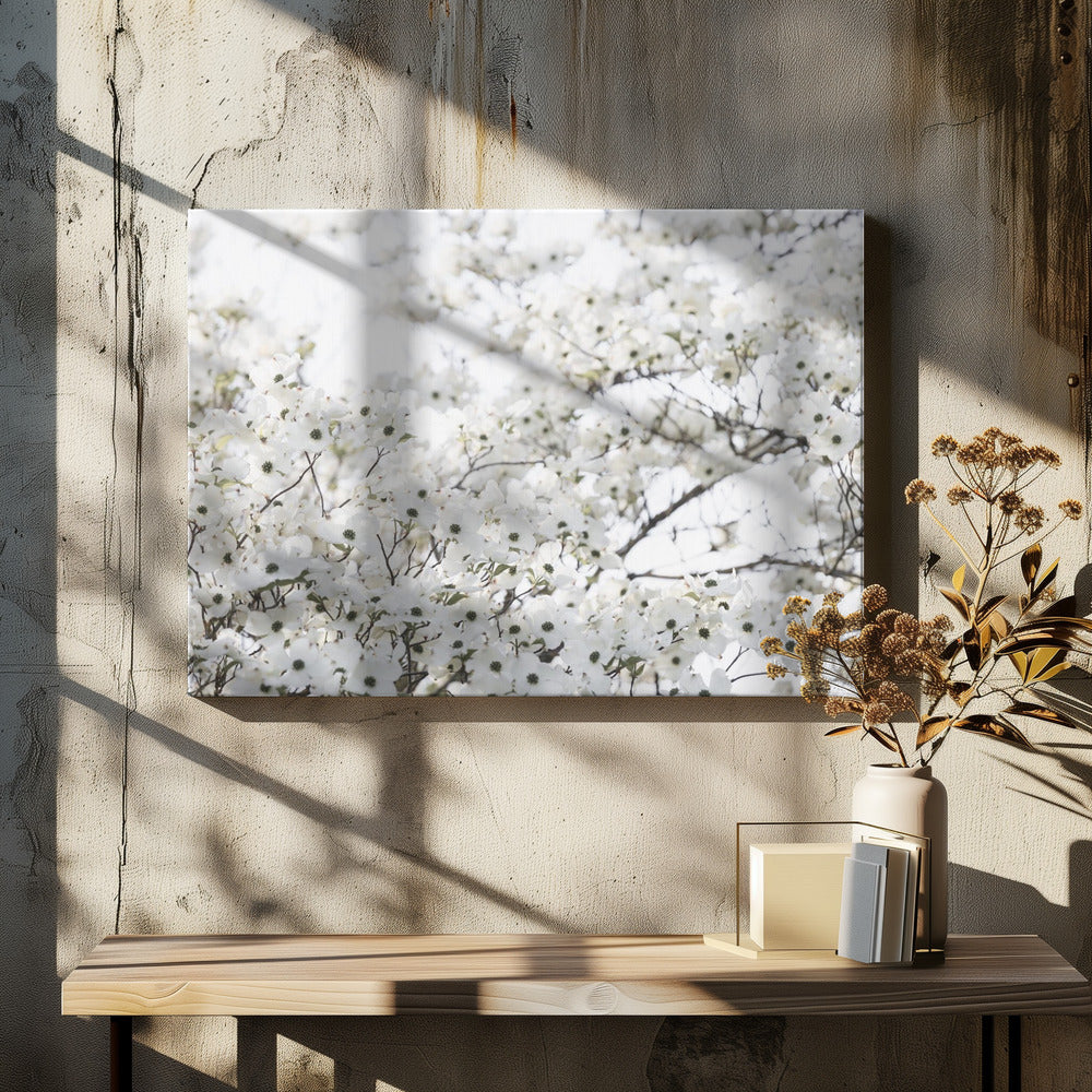 Witte Lenteboom 1 | Canvas