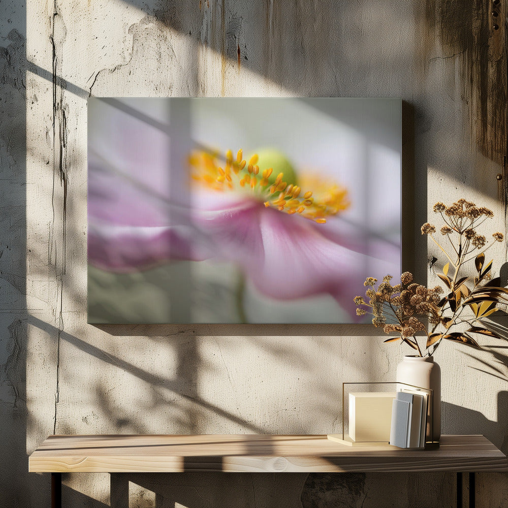 Dromerigheid | Canvas