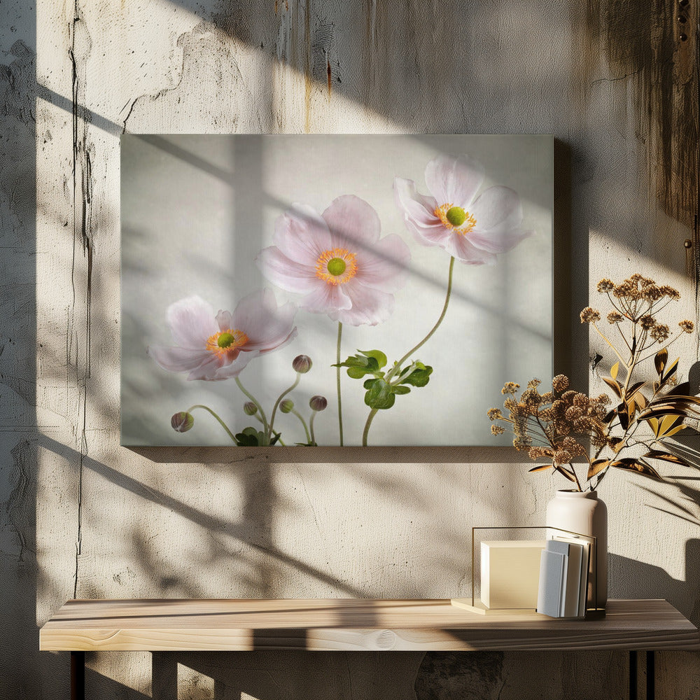 Anemonen | Canvas