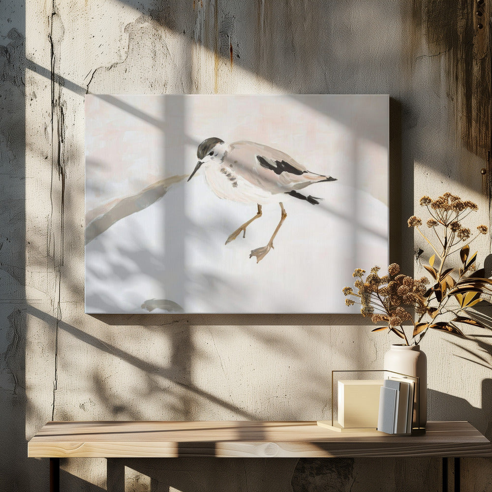 Schattige strandvogel | Canvas