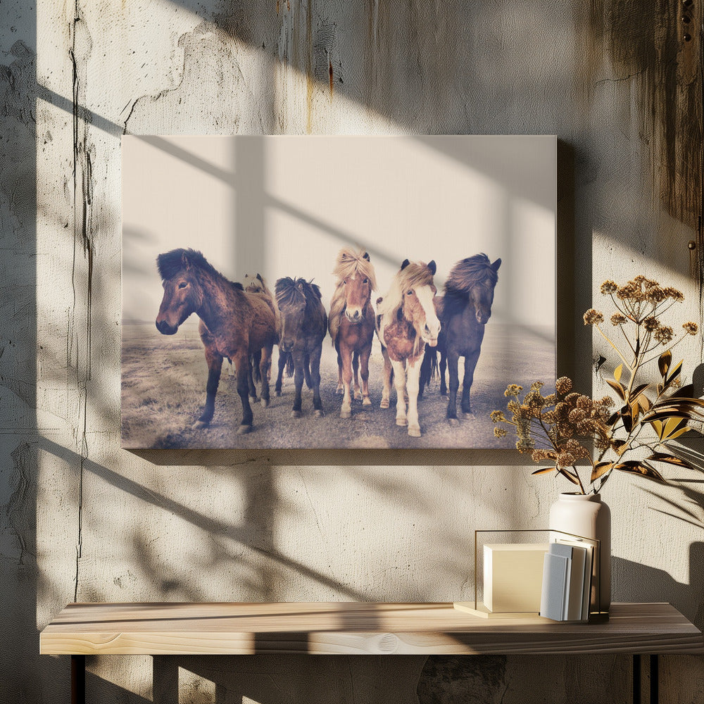 Paarden | Canvas