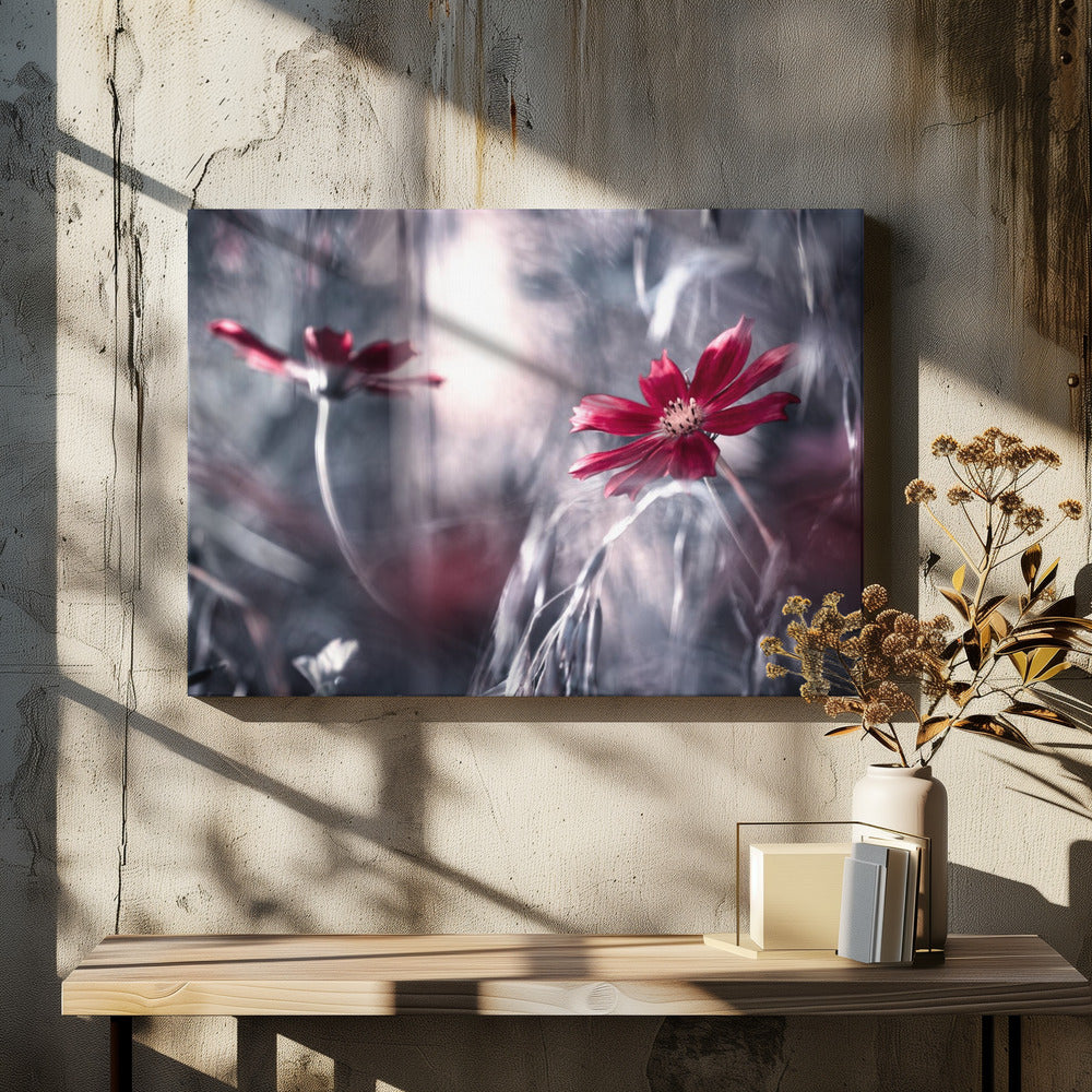 Verleidingsspelletjes | Canvas
