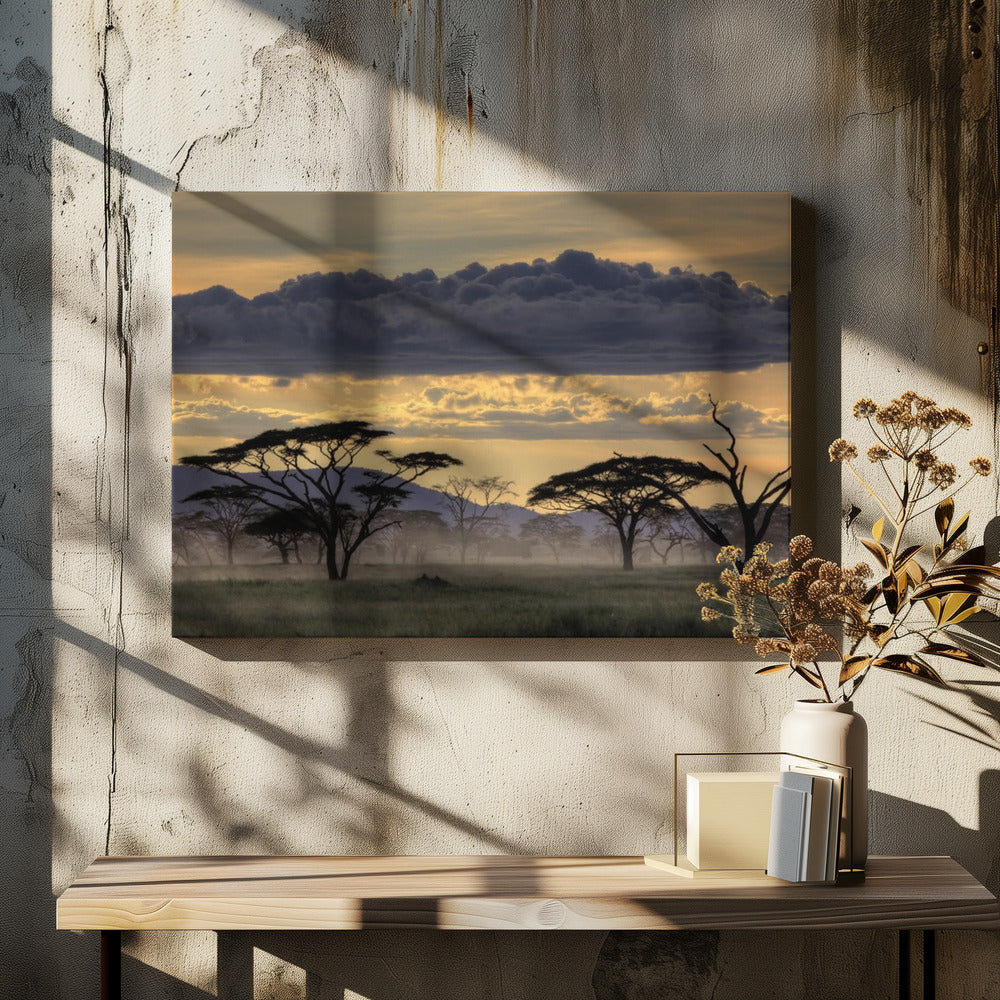 Goedenavond Tanzania | Canvas