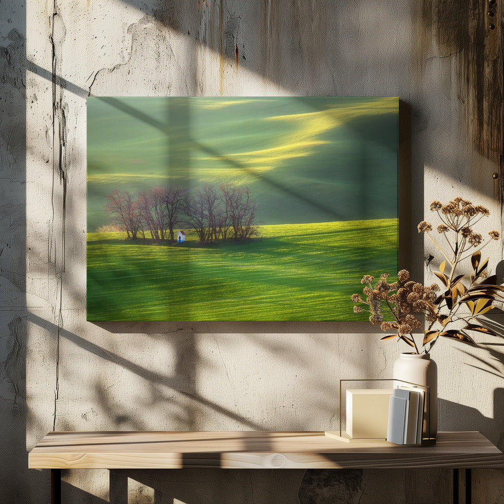 Velden... | Canvas