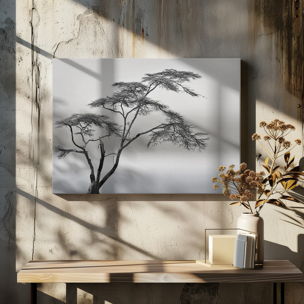 een heel lang verhaal | Canvas