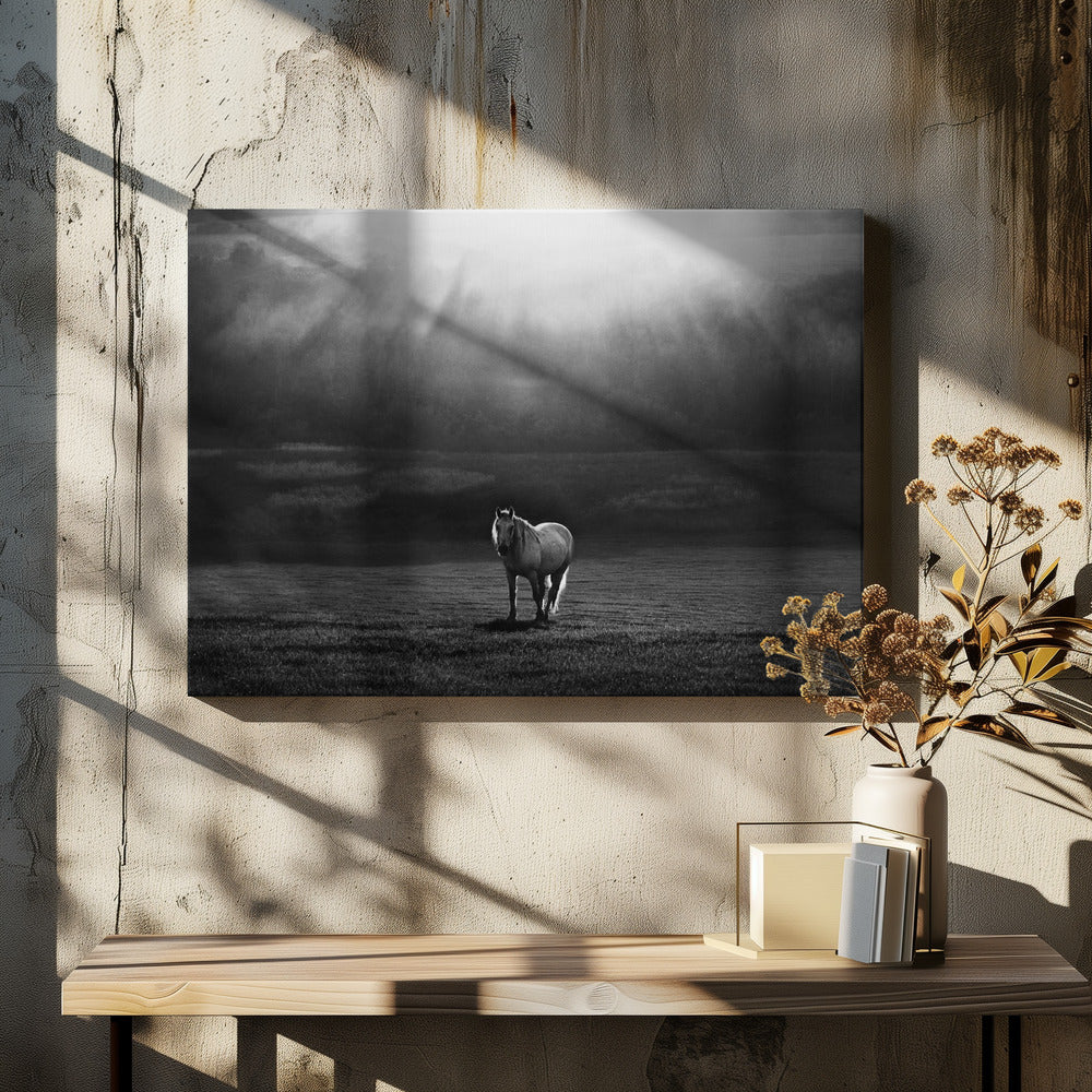 ochtendoptreden | Canvas