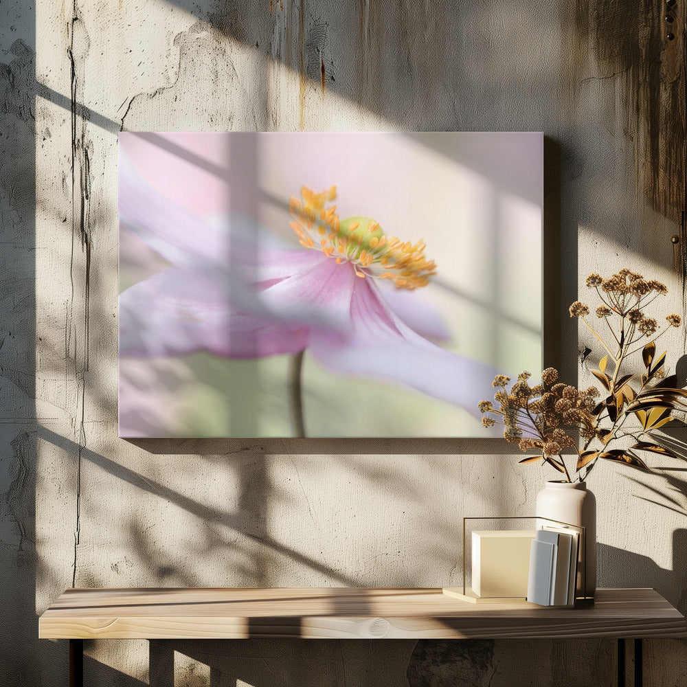 Japanse anemoon | Canvas