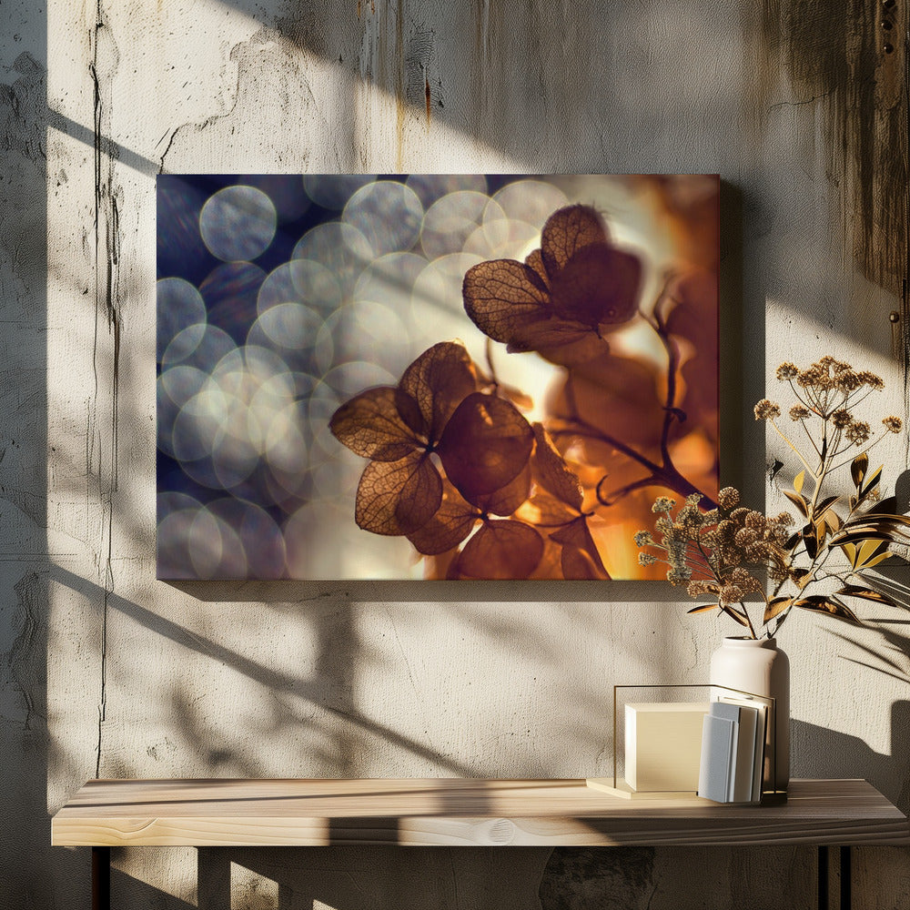 .:.:.** | Canvas