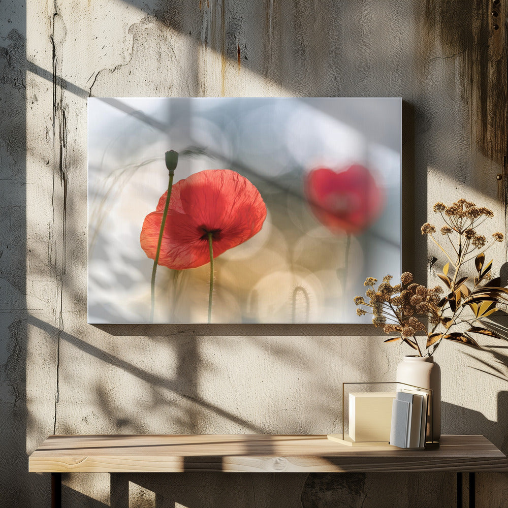 Ochtendklaprozen | Canvas