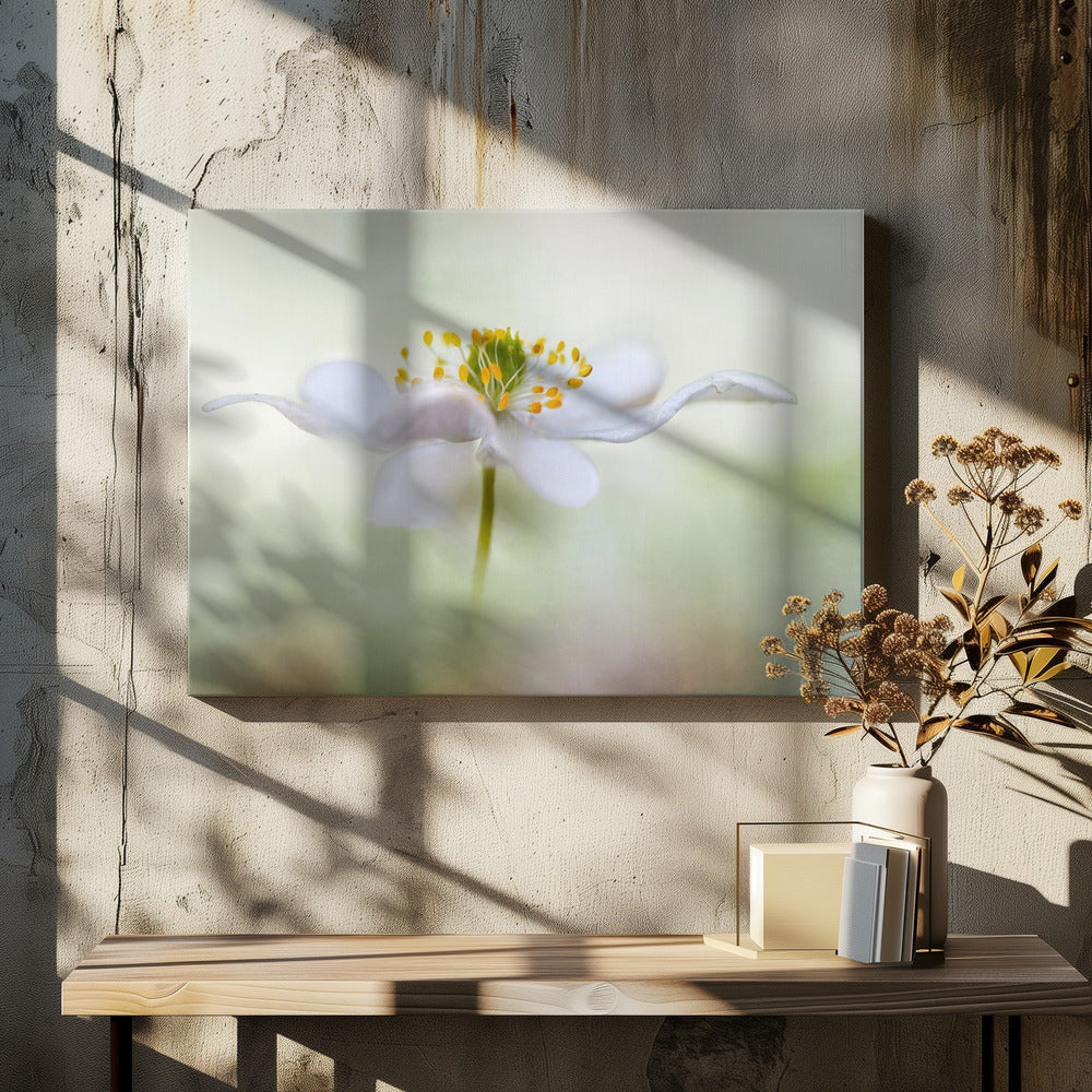 Nemorosa* | Canvas