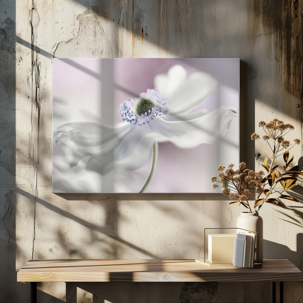 Anemoonbries | Canvas