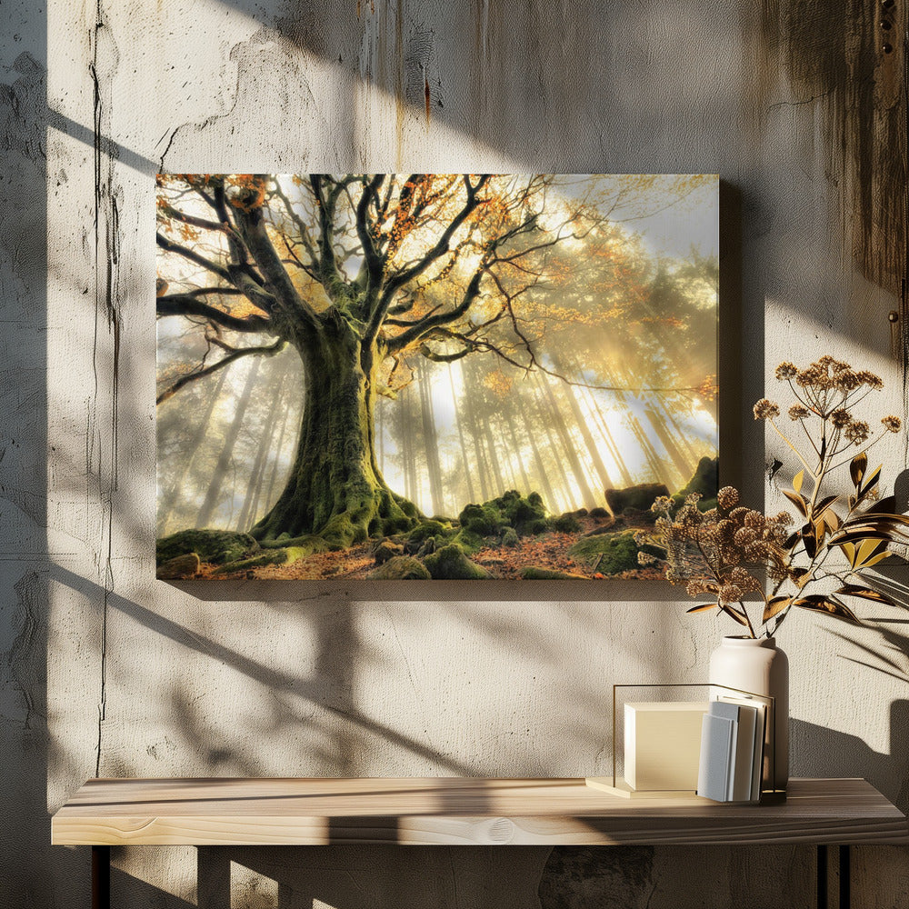 November | Canvas
