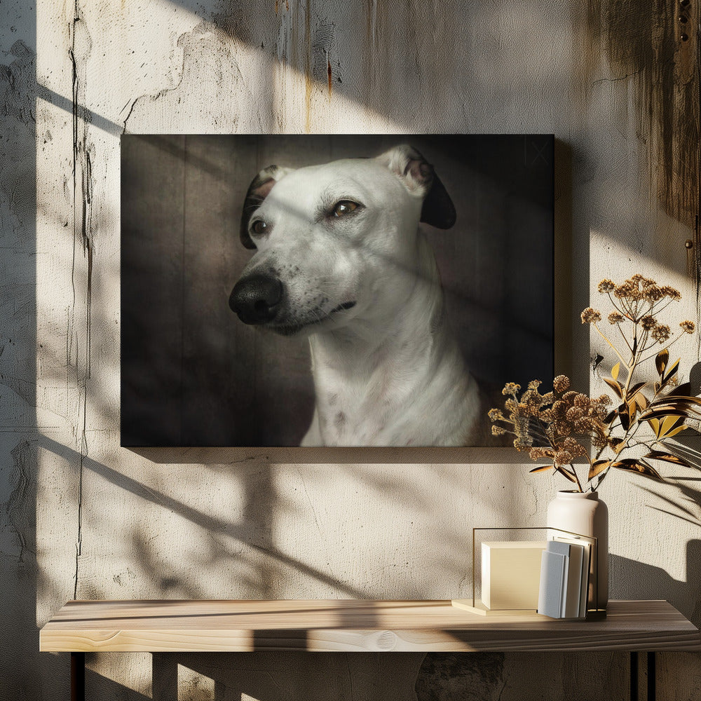 Waiting | Canvas