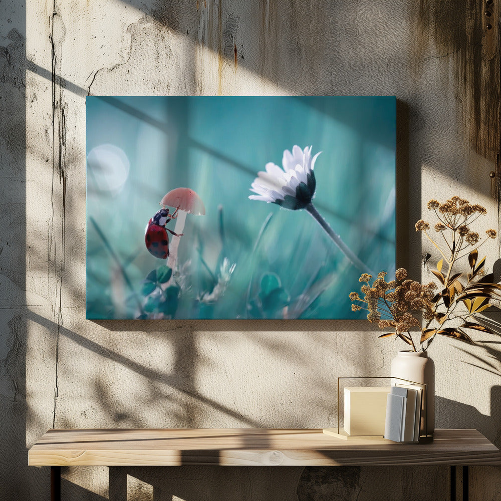 Speeddaten | Canvas