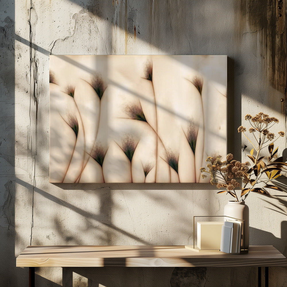 vaginae terram | Canvas