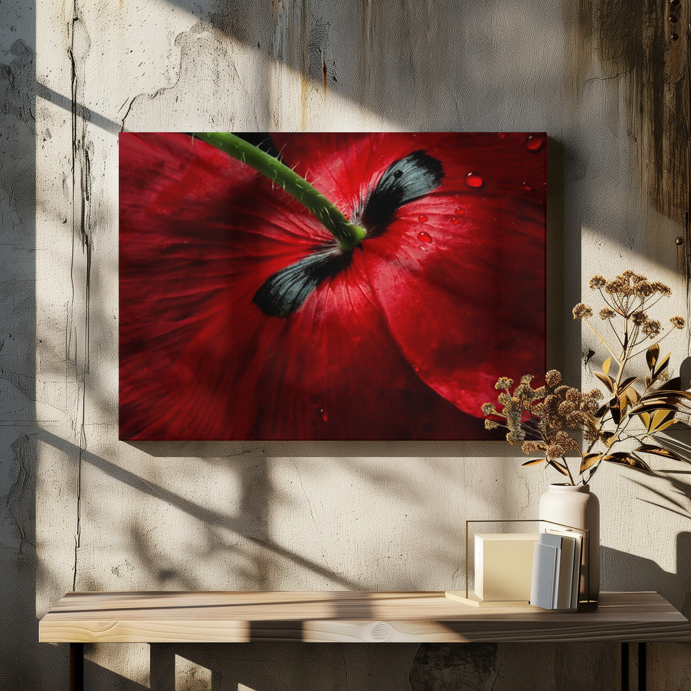 Papaverpassie | Canvas