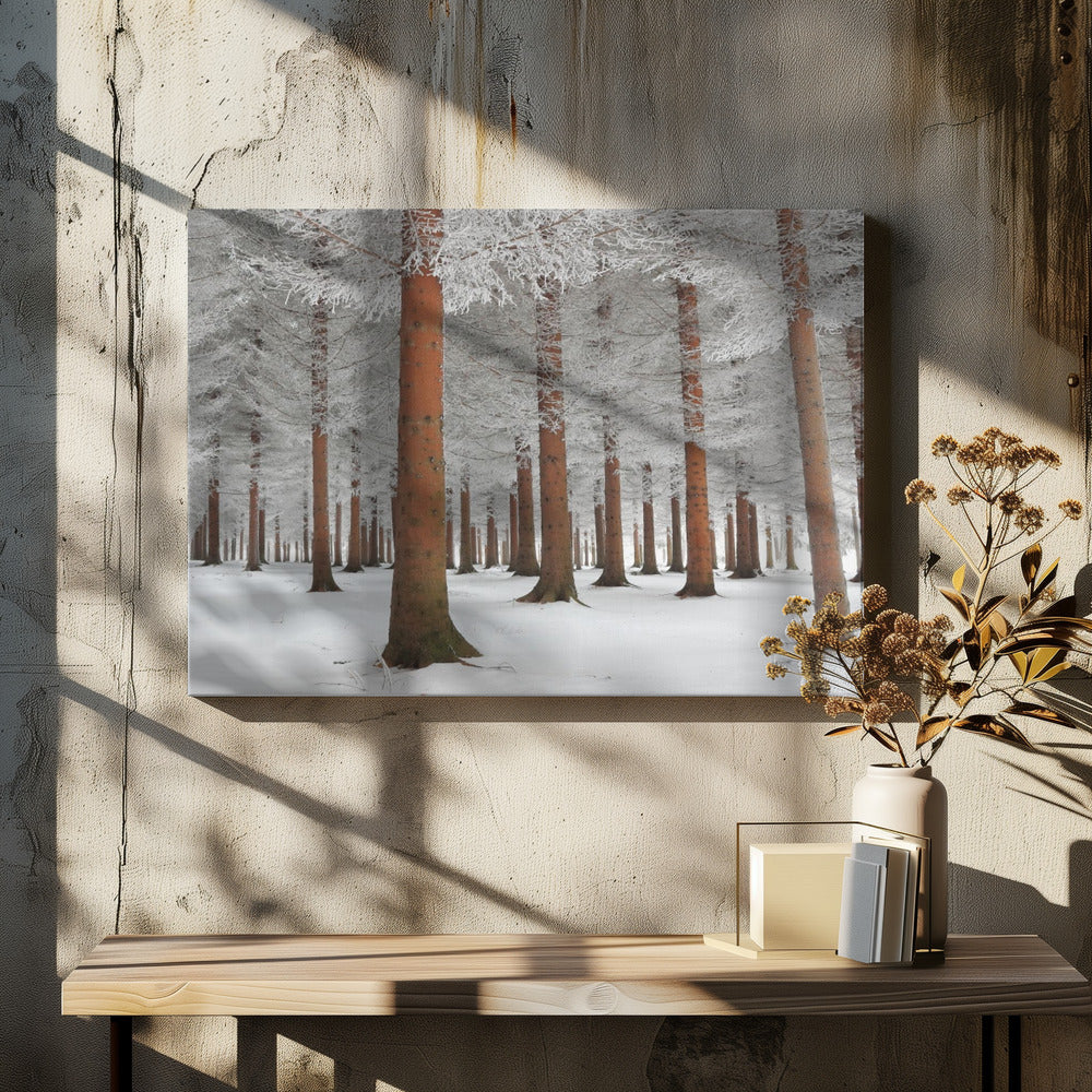 In het wit | Canvas