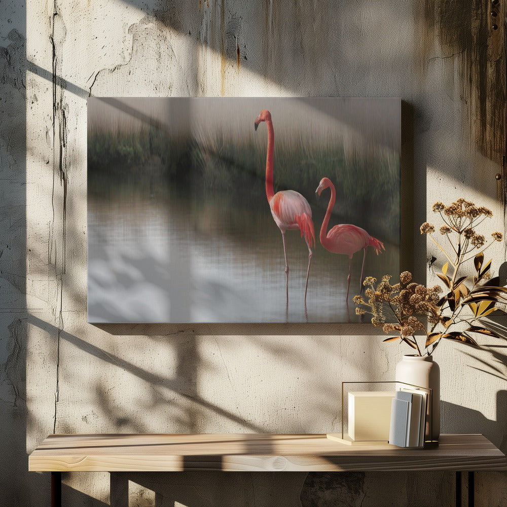 zo zen... | Canvas