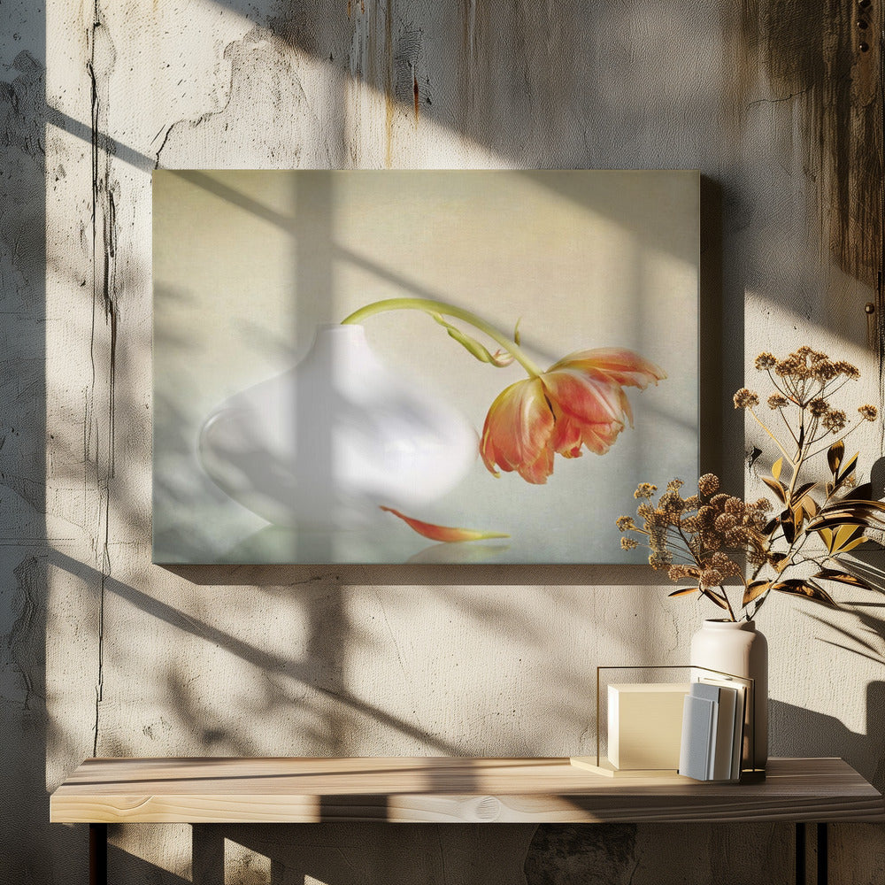 2lip | Canvas