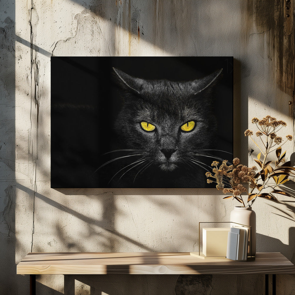 Zwarte kat | Canvas