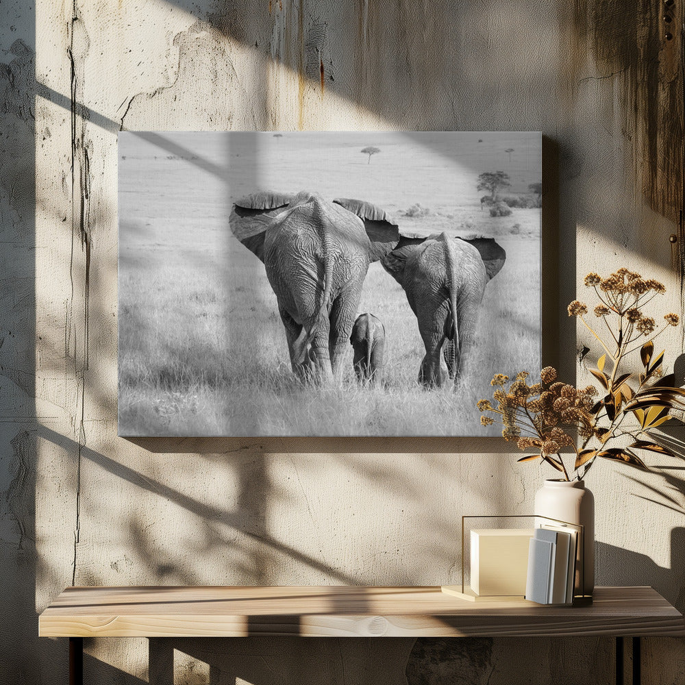 Drie billen! | Canvas
