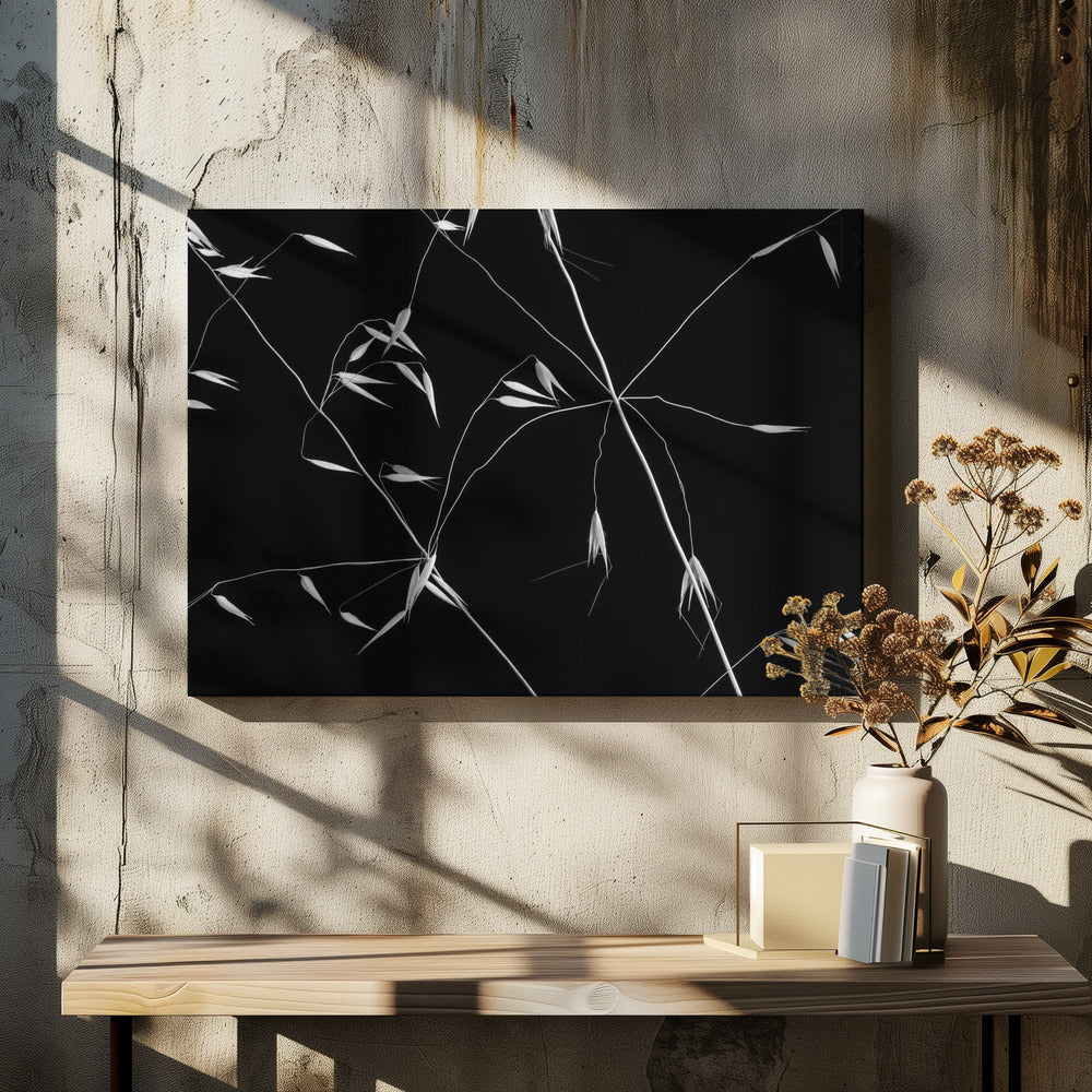 Gekruiste lijnen | Canvas