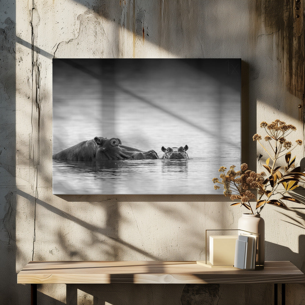 Ooghoogte | Canvas