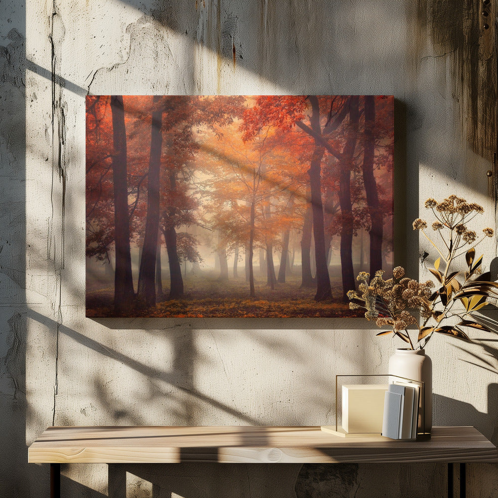Voel | Canvas