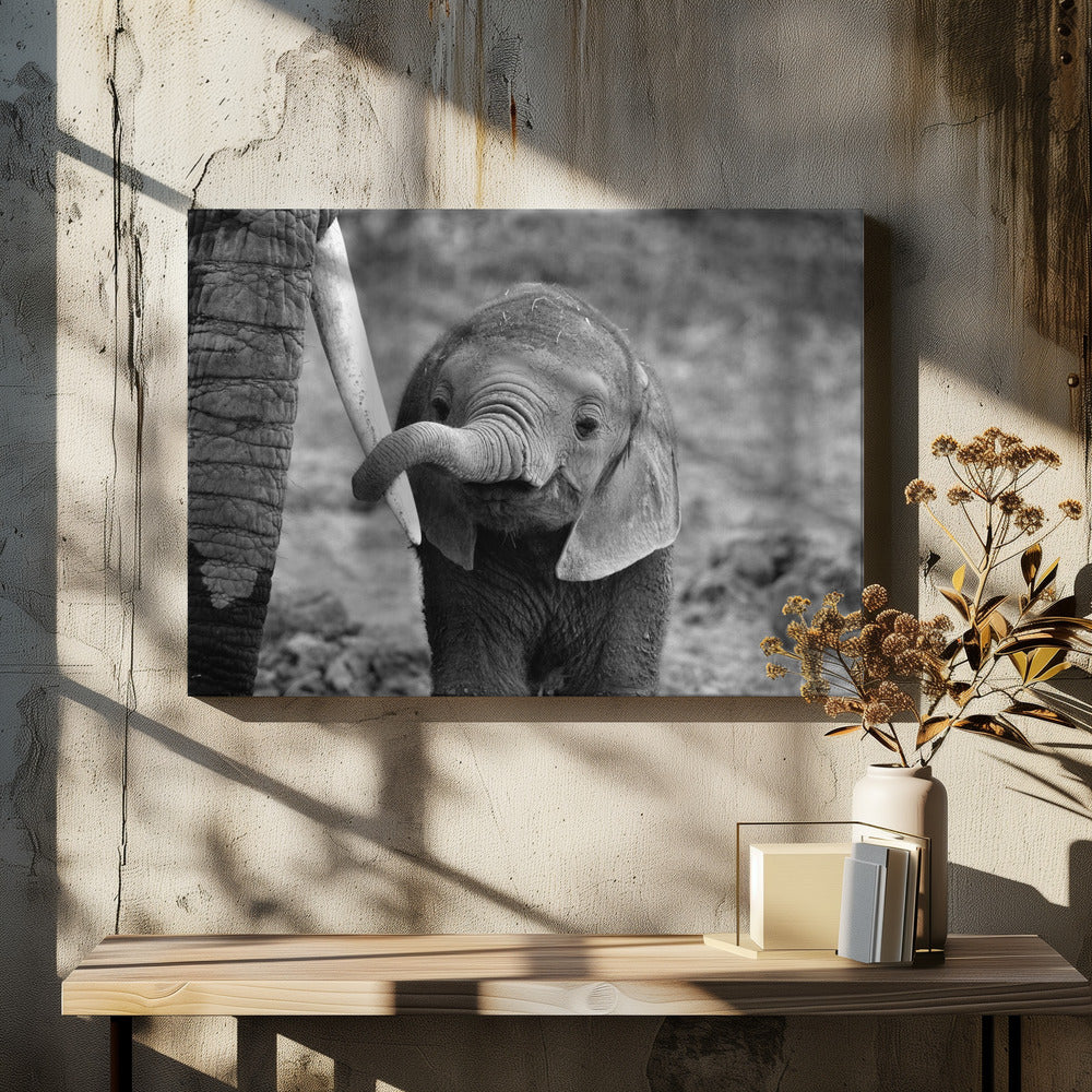 Sluiten | Canvas