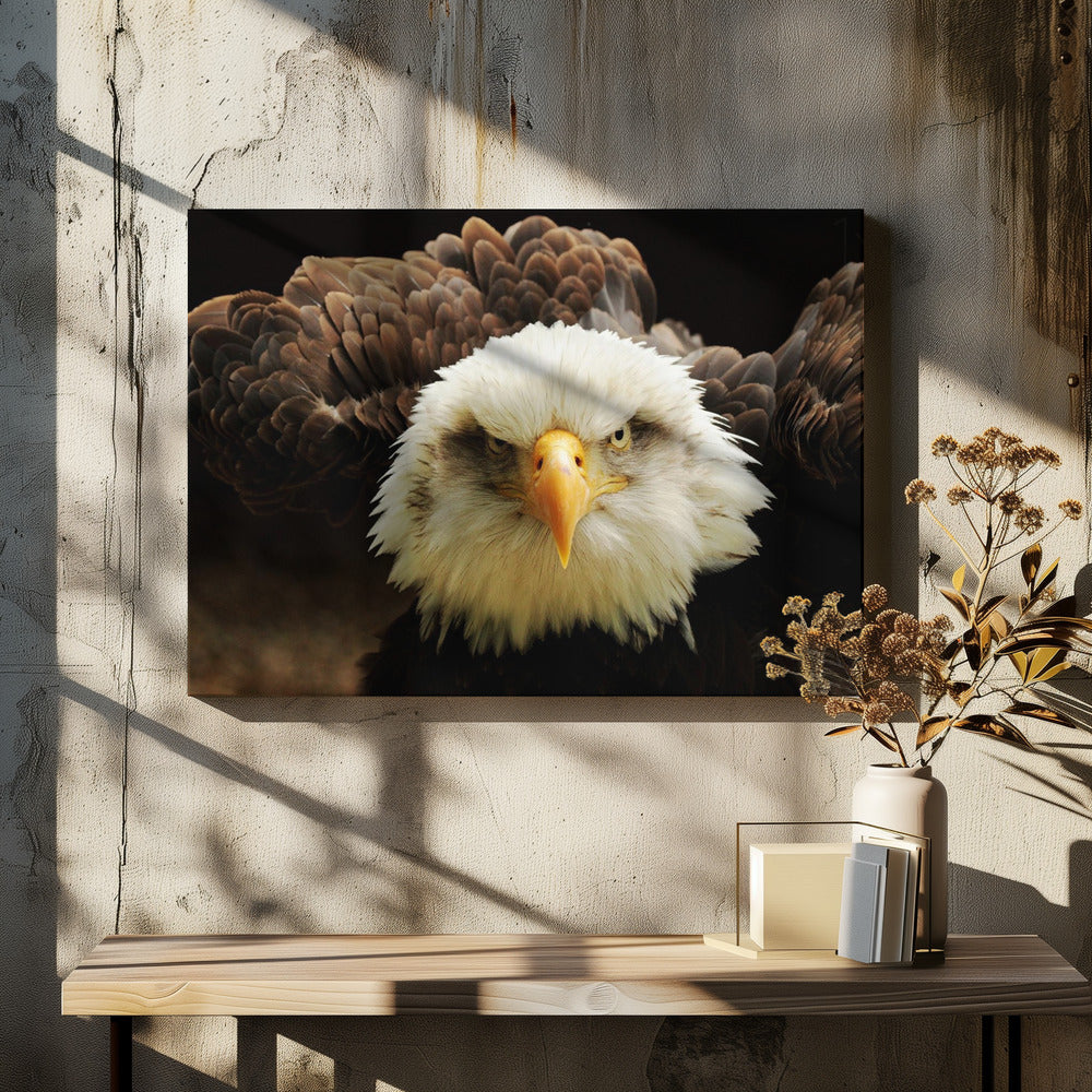 De Rechter | Canvas