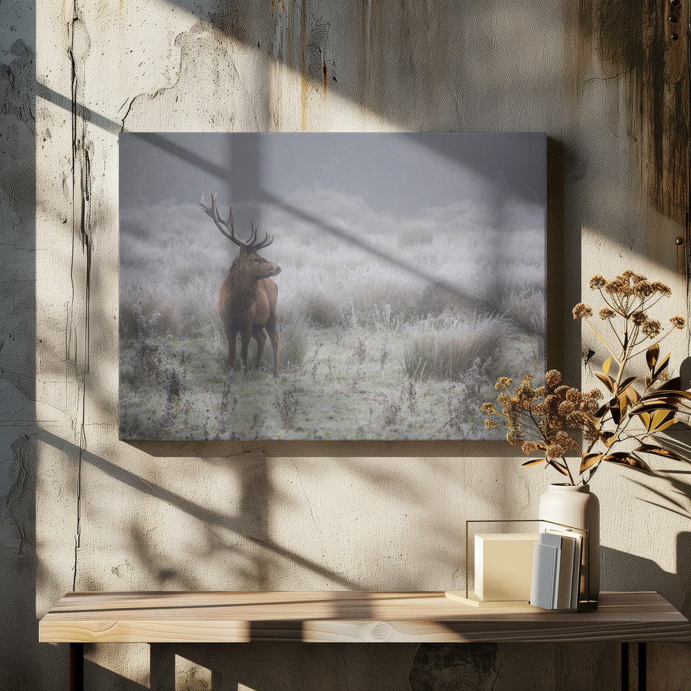 Trots. Hert. | Canvas