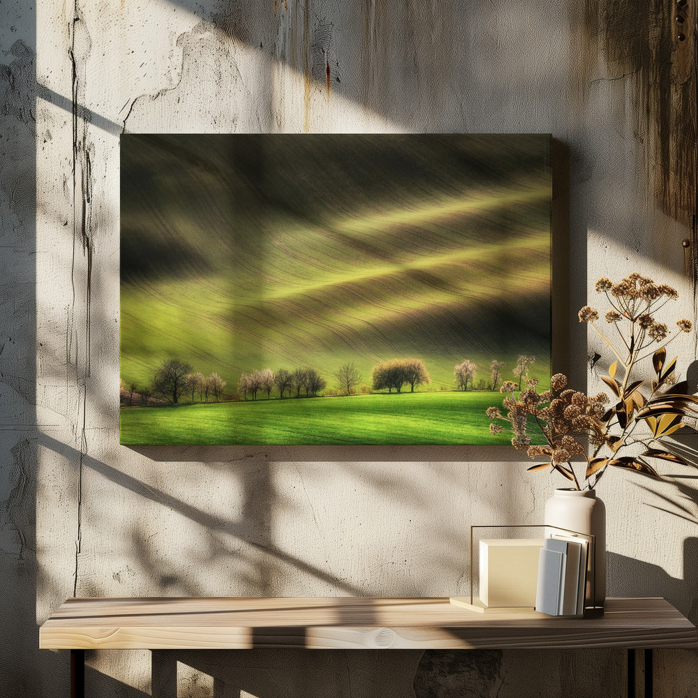 Moravische Velden | Canvas