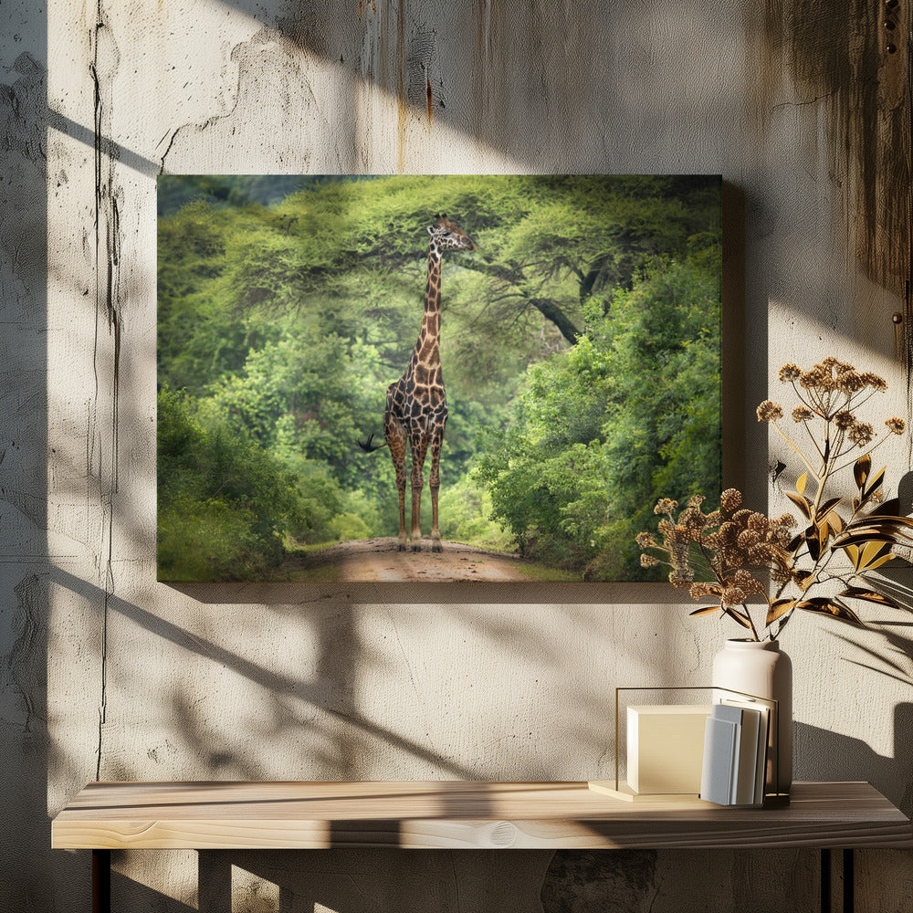 onverwachte ontmoeting | Canvas
