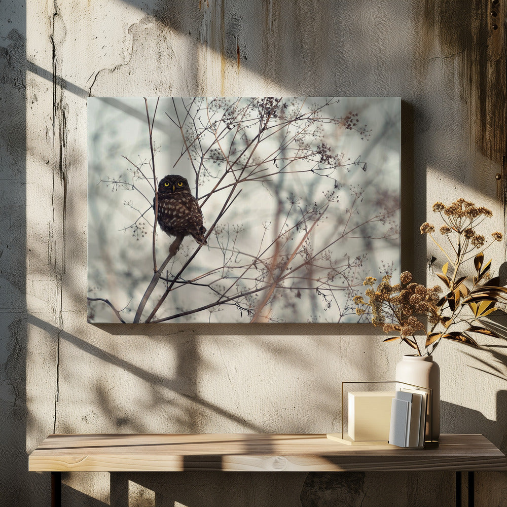 Kijk naar mij! | Canvas