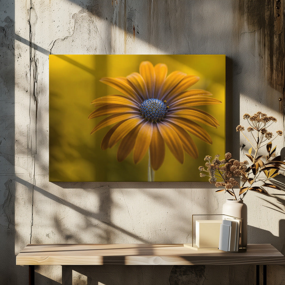 Zonnebloem Madeliefje | Canvas