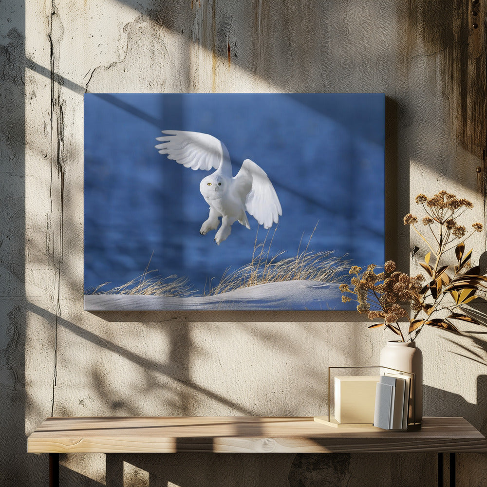 Witte geest demon | Canvas